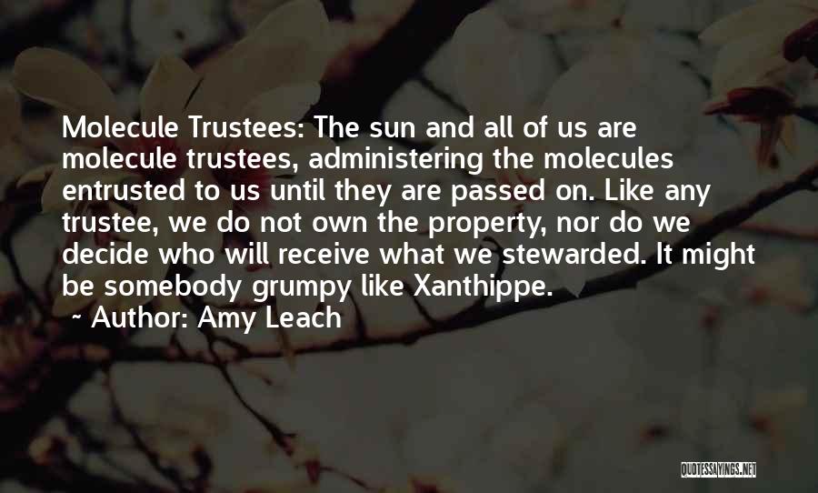 Amy Leach Quotes: Molecule Trustees: The Sun And All Of Us Are Molecule Trustees, Administering The Molecules Entrusted To Us Until They Are