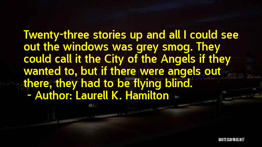 Laurell K. Hamilton Quotes: Twenty-three Stories Up And All I Could See Out The Windows Was Grey Smog. They Could Call It The City