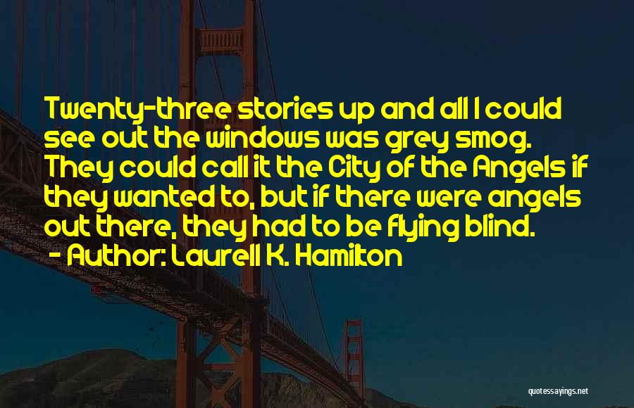 Laurell K. Hamilton Quotes: Twenty-three Stories Up And All I Could See Out The Windows Was Grey Smog. They Could Call It The City