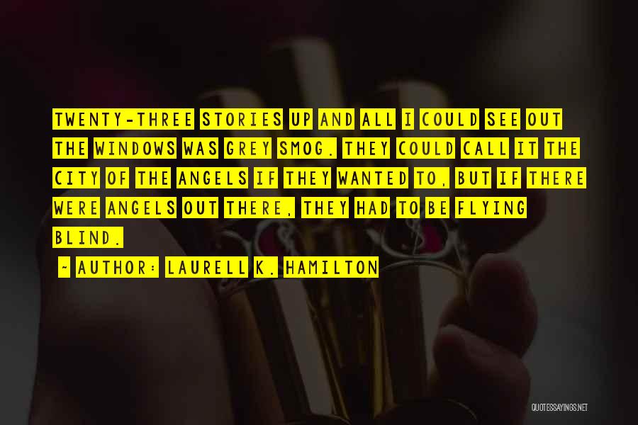 Laurell K. Hamilton Quotes: Twenty-three Stories Up And All I Could See Out The Windows Was Grey Smog. They Could Call It The City