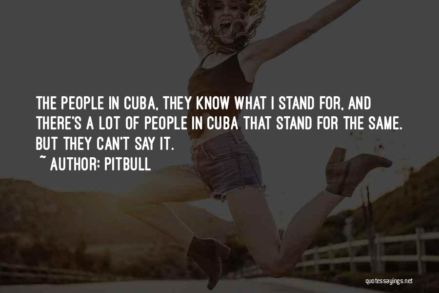 Pitbull Quotes: The People In Cuba, They Know What I Stand For, And There's A Lot Of People In Cuba That Stand