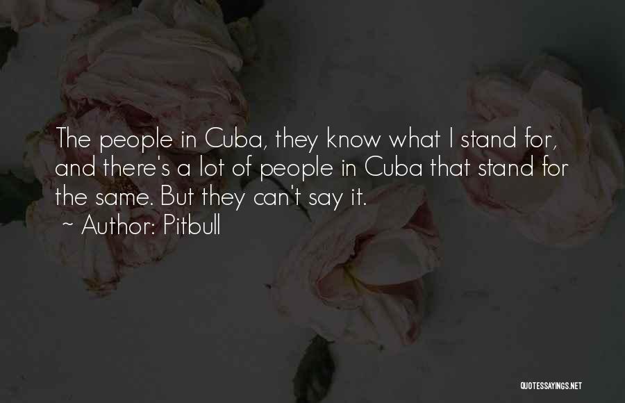 Pitbull Quotes: The People In Cuba, They Know What I Stand For, And There's A Lot Of People In Cuba That Stand
