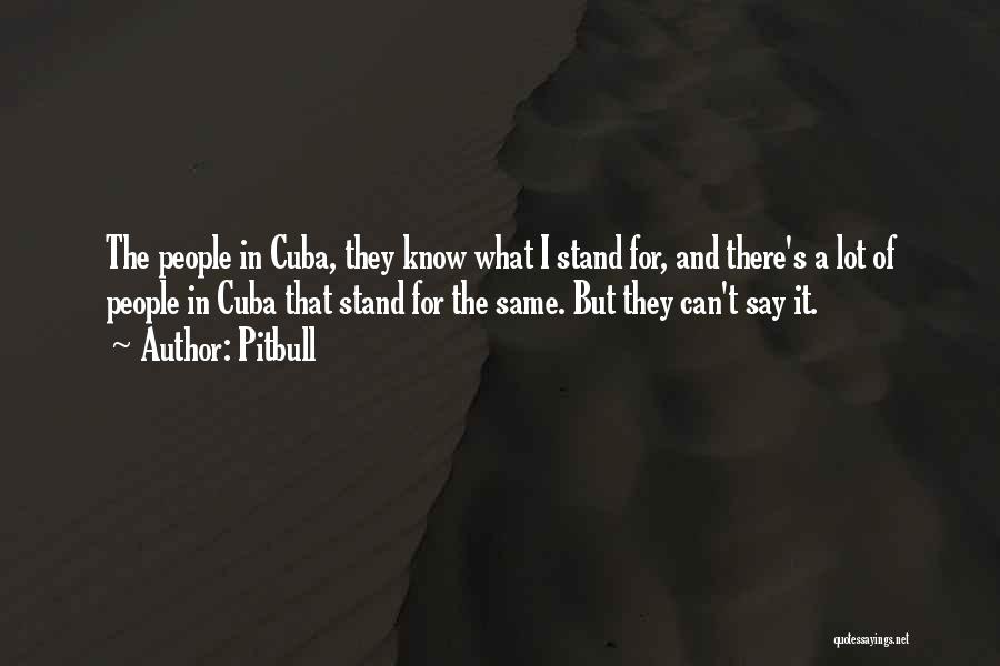 Pitbull Quotes: The People In Cuba, They Know What I Stand For, And There's A Lot Of People In Cuba That Stand