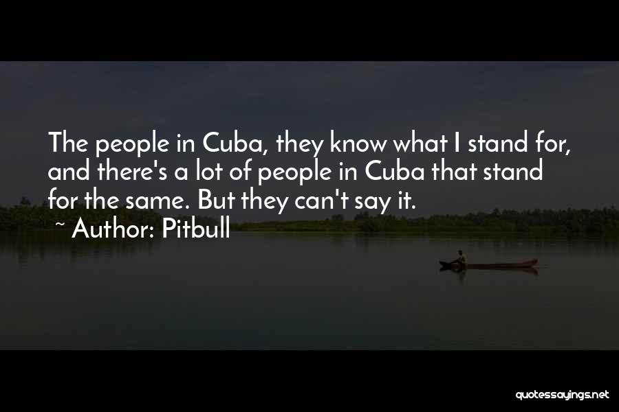 Pitbull Quotes: The People In Cuba, They Know What I Stand For, And There's A Lot Of People In Cuba That Stand