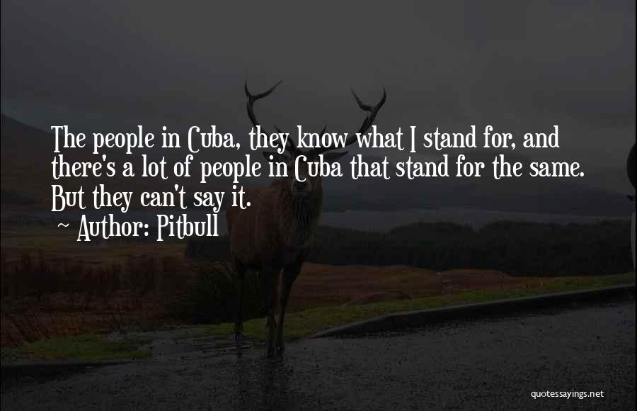 Pitbull Quotes: The People In Cuba, They Know What I Stand For, And There's A Lot Of People In Cuba That Stand