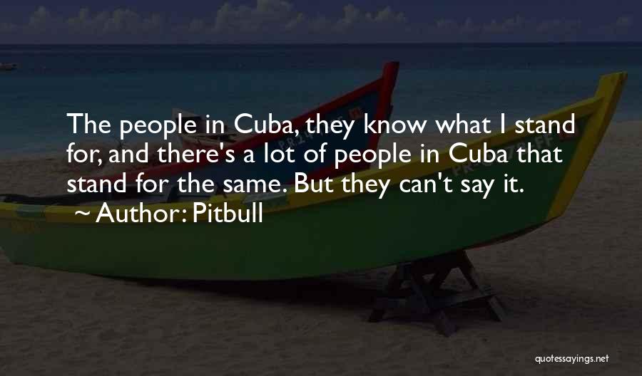 Pitbull Quotes: The People In Cuba, They Know What I Stand For, And There's A Lot Of People In Cuba That Stand