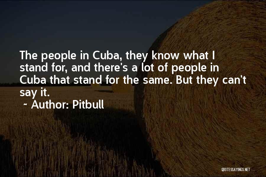 Pitbull Quotes: The People In Cuba, They Know What I Stand For, And There's A Lot Of People In Cuba That Stand