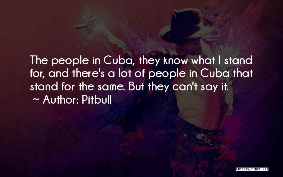 Pitbull Quotes: The People In Cuba, They Know What I Stand For, And There's A Lot Of People In Cuba That Stand