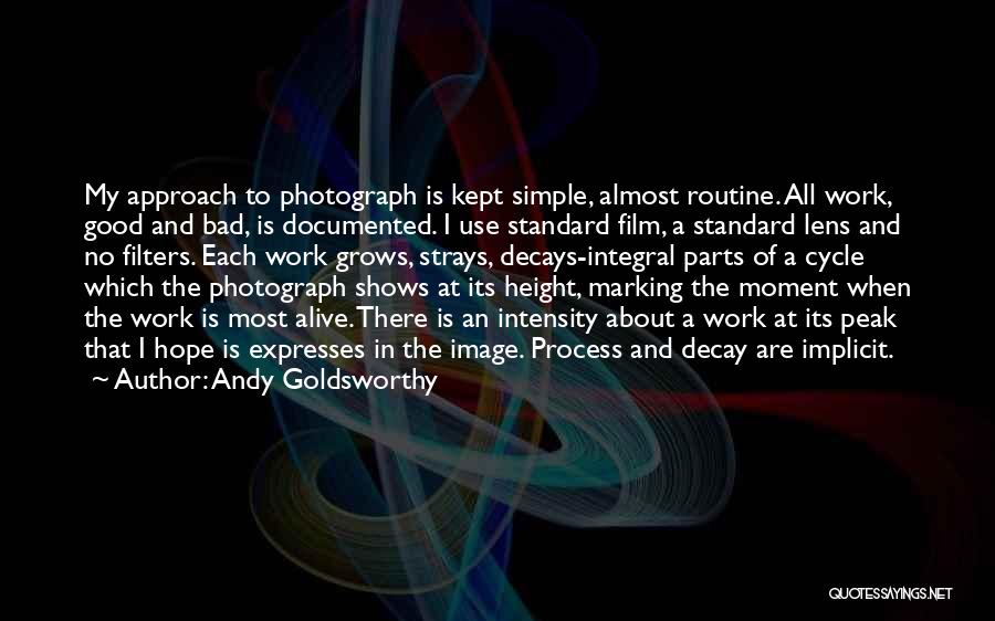 Andy Goldsworthy Quotes: My Approach To Photograph Is Kept Simple, Almost Routine. All Work, Good And Bad, Is Documented. I Use Standard Film,