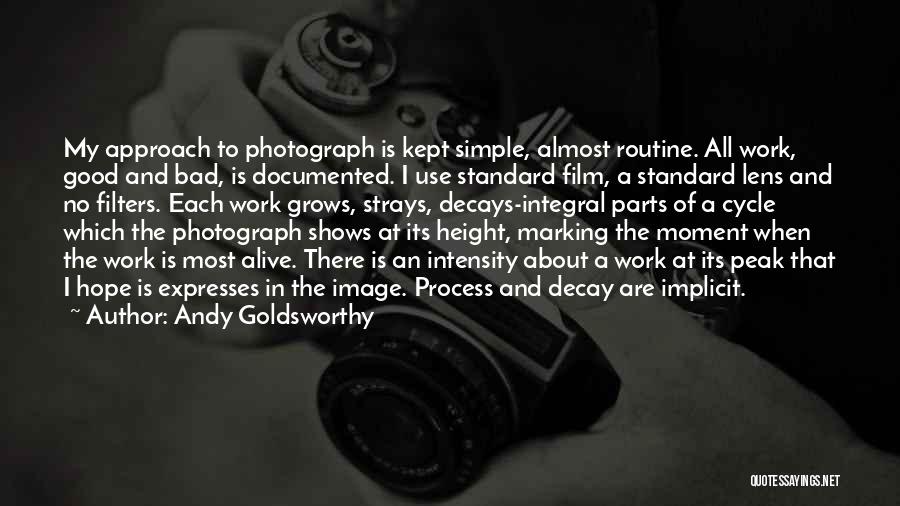 Andy Goldsworthy Quotes: My Approach To Photograph Is Kept Simple, Almost Routine. All Work, Good And Bad, Is Documented. I Use Standard Film,