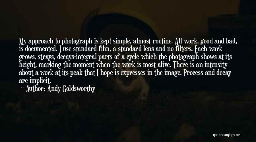 Andy Goldsworthy Quotes: My Approach To Photograph Is Kept Simple, Almost Routine. All Work, Good And Bad, Is Documented. I Use Standard Film,