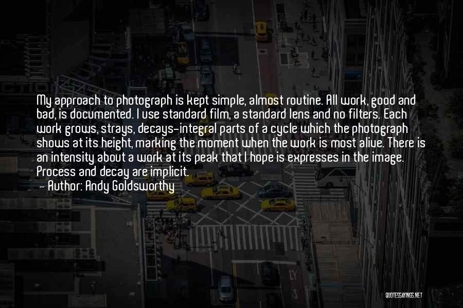 Andy Goldsworthy Quotes: My Approach To Photograph Is Kept Simple, Almost Routine. All Work, Good And Bad, Is Documented. I Use Standard Film,