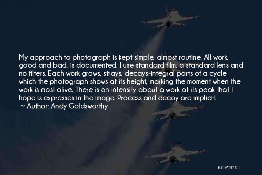 Andy Goldsworthy Quotes: My Approach To Photograph Is Kept Simple, Almost Routine. All Work, Good And Bad, Is Documented. I Use Standard Film,