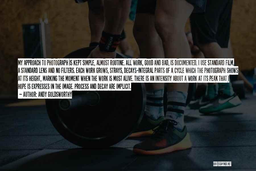 Andy Goldsworthy Quotes: My Approach To Photograph Is Kept Simple, Almost Routine. All Work, Good And Bad, Is Documented. I Use Standard Film,