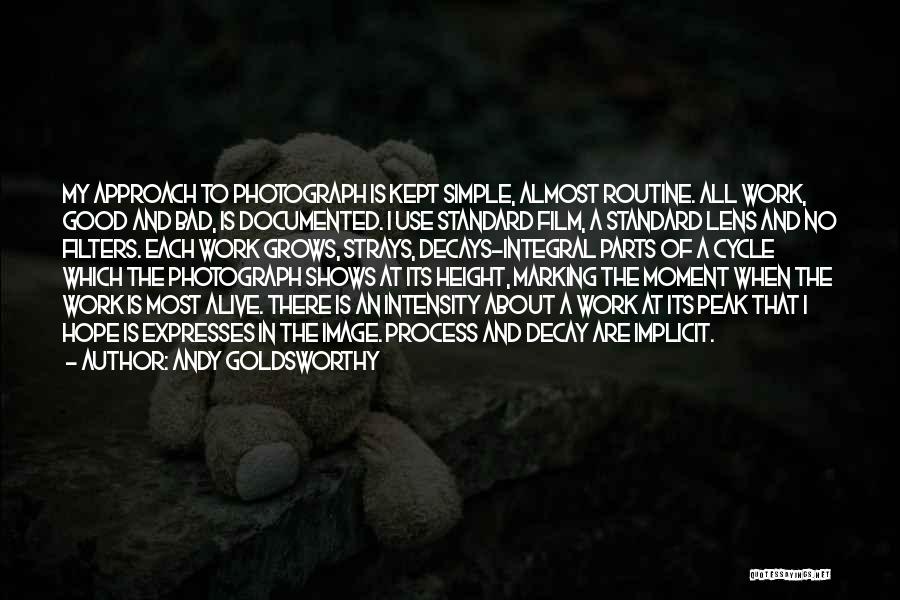 Andy Goldsworthy Quotes: My Approach To Photograph Is Kept Simple, Almost Routine. All Work, Good And Bad, Is Documented. I Use Standard Film,