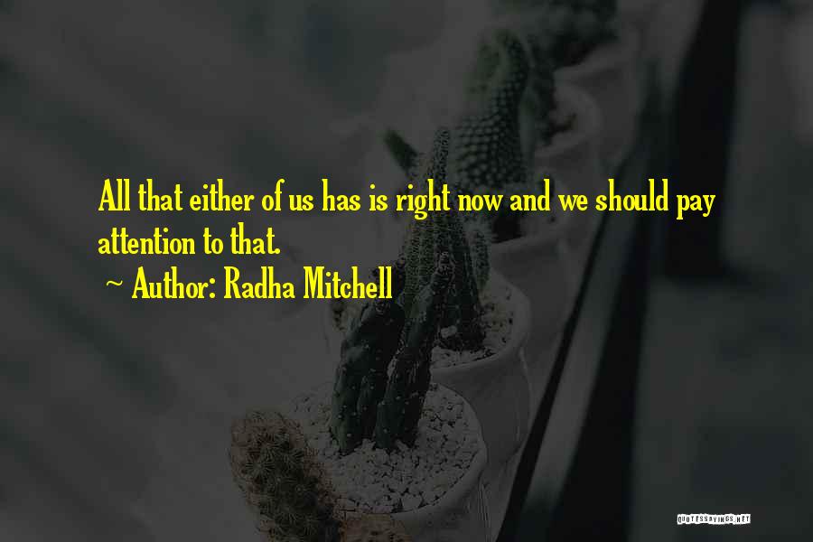 Radha Mitchell Quotes: All That Either Of Us Has Is Right Now And We Should Pay Attention To That.