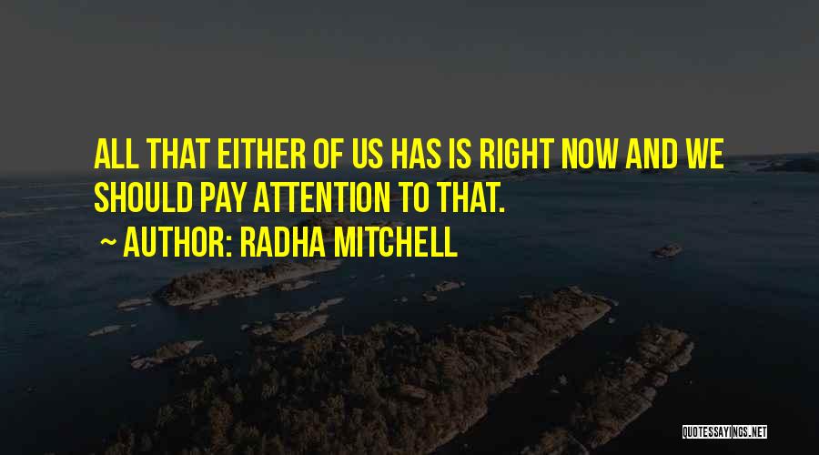 Radha Mitchell Quotes: All That Either Of Us Has Is Right Now And We Should Pay Attention To That.