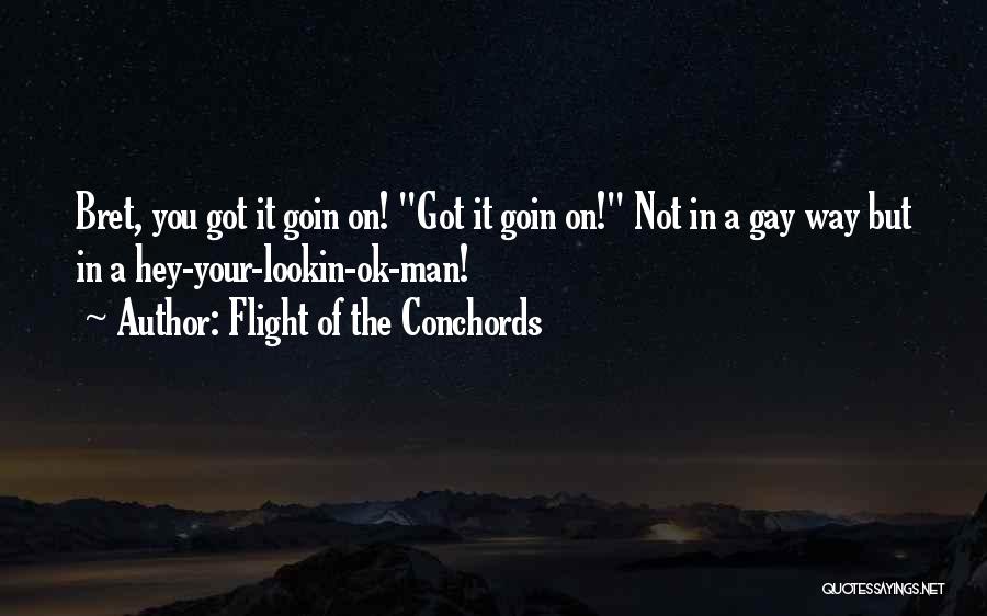 Flight Of The Conchords Quotes: Bret, You Got It Goin On! Got It Goin On! Not In A Gay Way But In A Hey-your-lookin-ok-man!