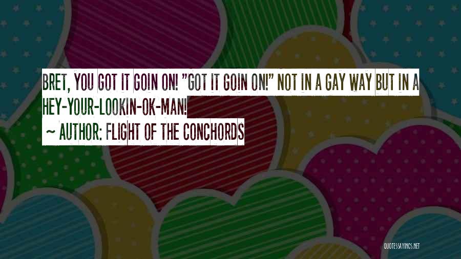 Flight Of The Conchords Quotes: Bret, You Got It Goin On! Got It Goin On! Not In A Gay Way But In A Hey-your-lookin-ok-man!