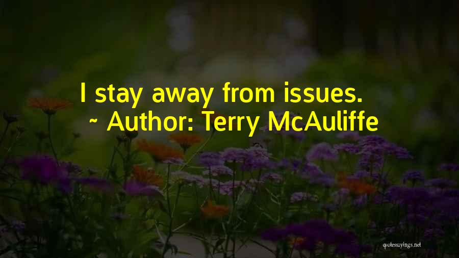 Terry McAuliffe Quotes: I Stay Away From Issues.