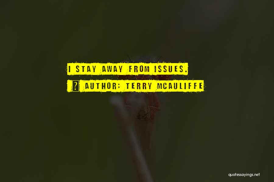 Terry McAuliffe Quotes: I Stay Away From Issues.