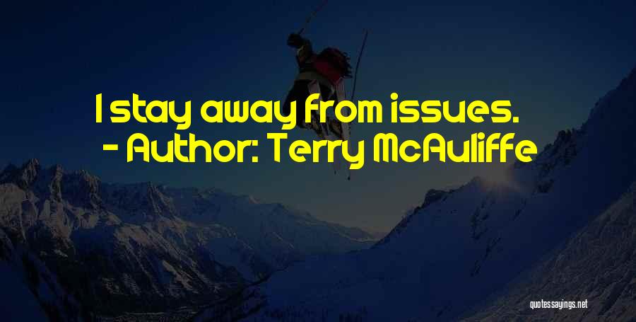 Terry McAuliffe Quotes: I Stay Away From Issues.
