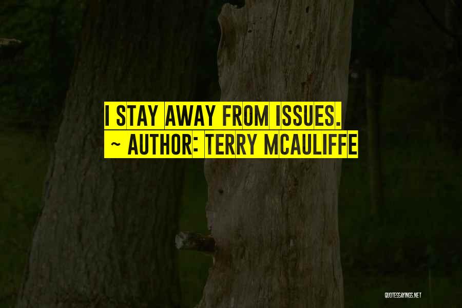 Terry McAuliffe Quotes: I Stay Away From Issues.