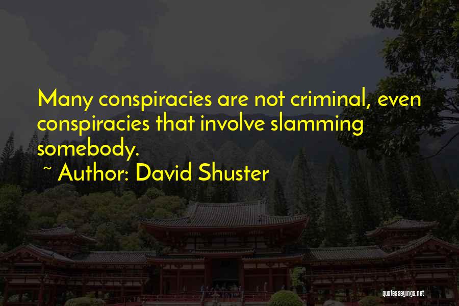 David Shuster Quotes: Many Conspiracies Are Not Criminal, Even Conspiracies That Involve Slamming Somebody.