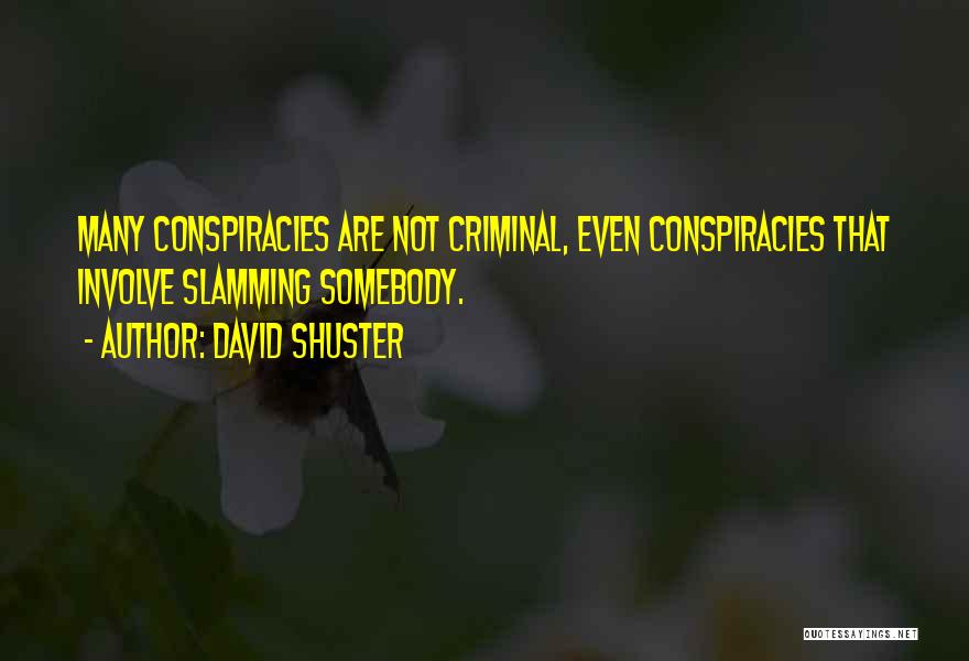 David Shuster Quotes: Many Conspiracies Are Not Criminal, Even Conspiracies That Involve Slamming Somebody.