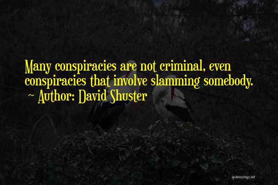 David Shuster Quotes: Many Conspiracies Are Not Criminal, Even Conspiracies That Involve Slamming Somebody.
