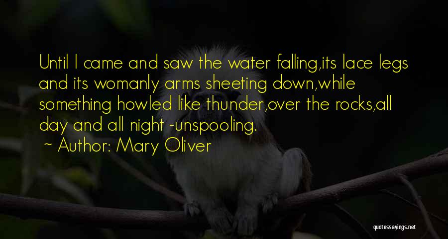 Mary Oliver Quotes: Until I Came And Saw The Water Falling,its Lace Legs And Its Womanly Arms Sheeting Down,while Something Howled Like Thunder,over