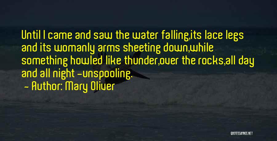 Mary Oliver Quotes: Until I Came And Saw The Water Falling,its Lace Legs And Its Womanly Arms Sheeting Down,while Something Howled Like Thunder,over