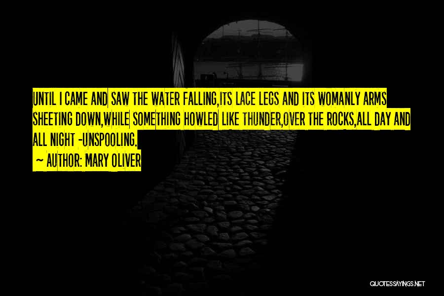 Mary Oliver Quotes: Until I Came And Saw The Water Falling,its Lace Legs And Its Womanly Arms Sheeting Down,while Something Howled Like Thunder,over