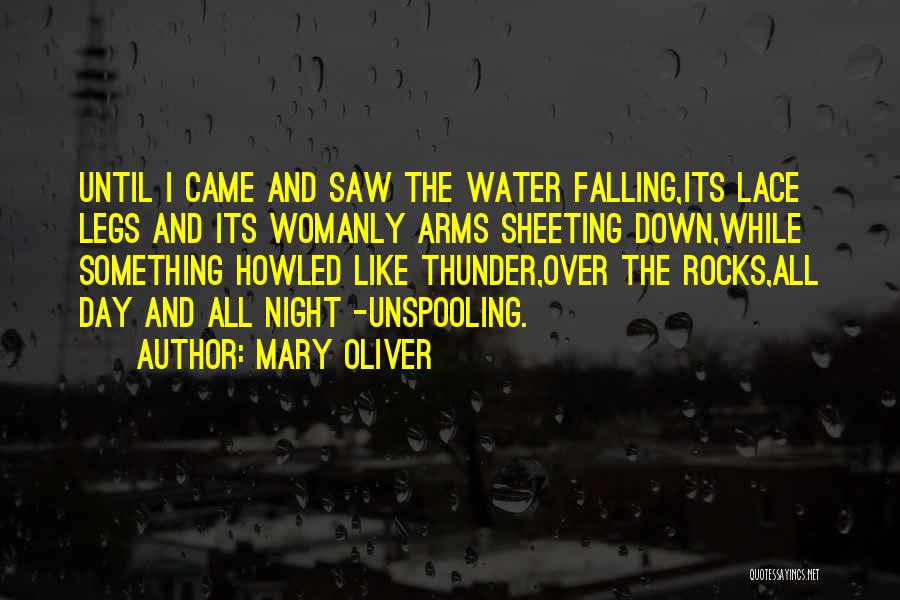 Mary Oliver Quotes: Until I Came And Saw The Water Falling,its Lace Legs And Its Womanly Arms Sheeting Down,while Something Howled Like Thunder,over