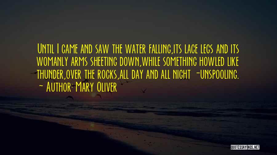 Mary Oliver Quotes: Until I Came And Saw The Water Falling,its Lace Legs And Its Womanly Arms Sheeting Down,while Something Howled Like Thunder,over