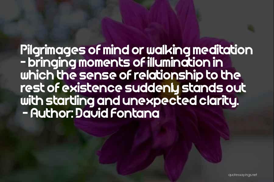 David Fontana Quotes: Pilgrimages Of Mind Or Walking Meditation - Bringing Moments Of Illumination In Which The Sense Of Relationship To The Rest