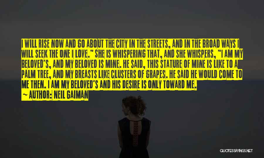 Neil Gaiman Quotes: I Will Rise Now And Go About The City In The Streets, And In The Broad Ways I Will Seek