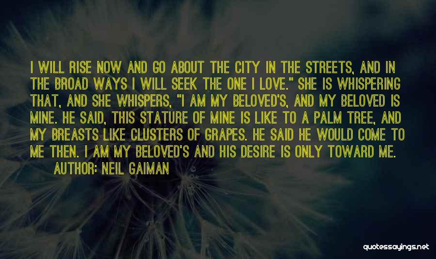 Neil Gaiman Quotes: I Will Rise Now And Go About The City In The Streets, And In The Broad Ways I Will Seek