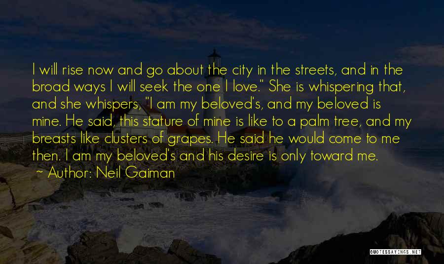 Neil Gaiman Quotes: I Will Rise Now And Go About The City In The Streets, And In The Broad Ways I Will Seek