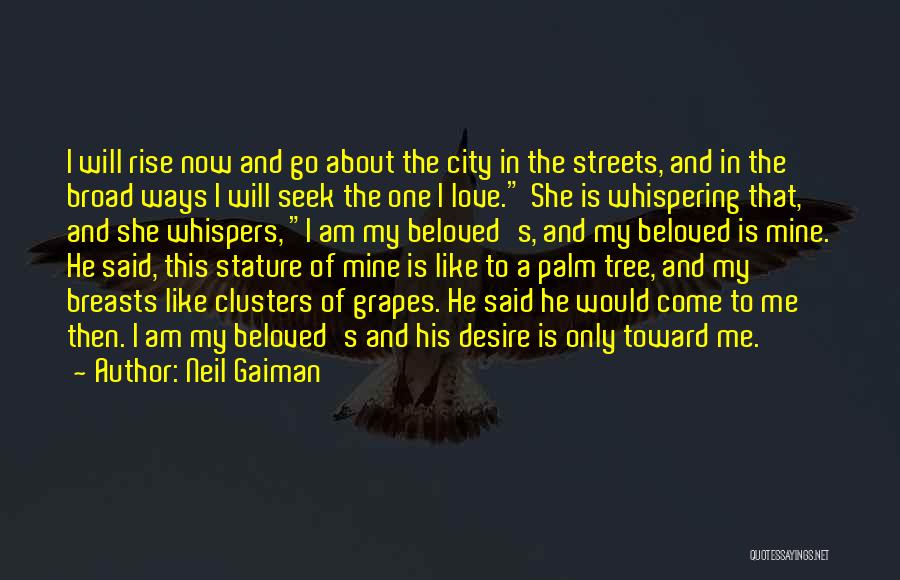 Neil Gaiman Quotes: I Will Rise Now And Go About The City In The Streets, And In The Broad Ways I Will Seek