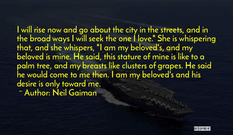 Neil Gaiman Quotes: I Will Rise Now And Go About The City In The Streets, And In The Broad Ways I Will Seek