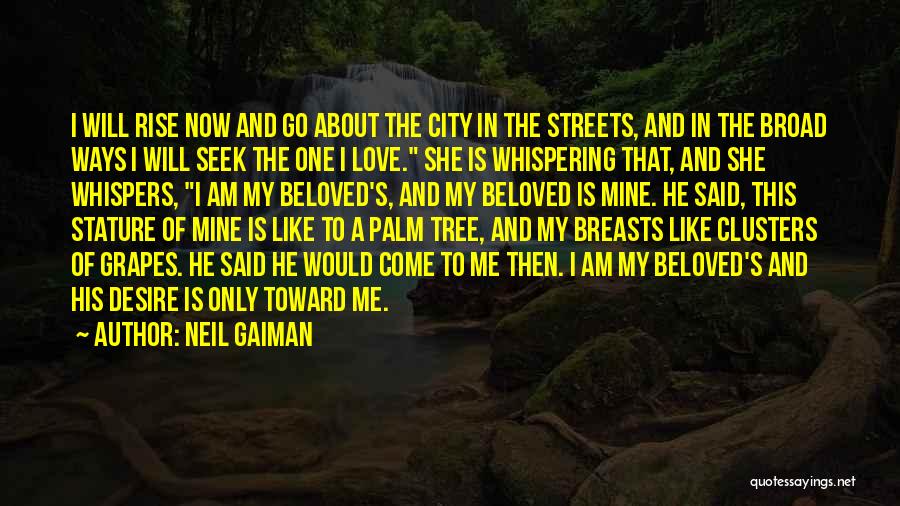 Neil Gaiman Quotes: I Will Rise Now And Go About The City In The Streets, And In The Broad Ways I Will Seek