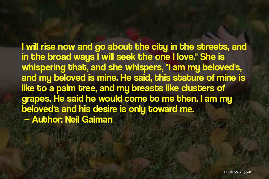 Neil Gaiman Quotes: I Will Rise Now And Go About The City In The Streets, And In The Broad Ways I Will Seek