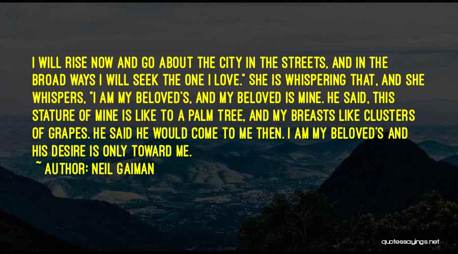 Neil Gaiman Quotes: I Will Rise Now And Go About The City In The Streets, And In The Broad Ways I Will Seek