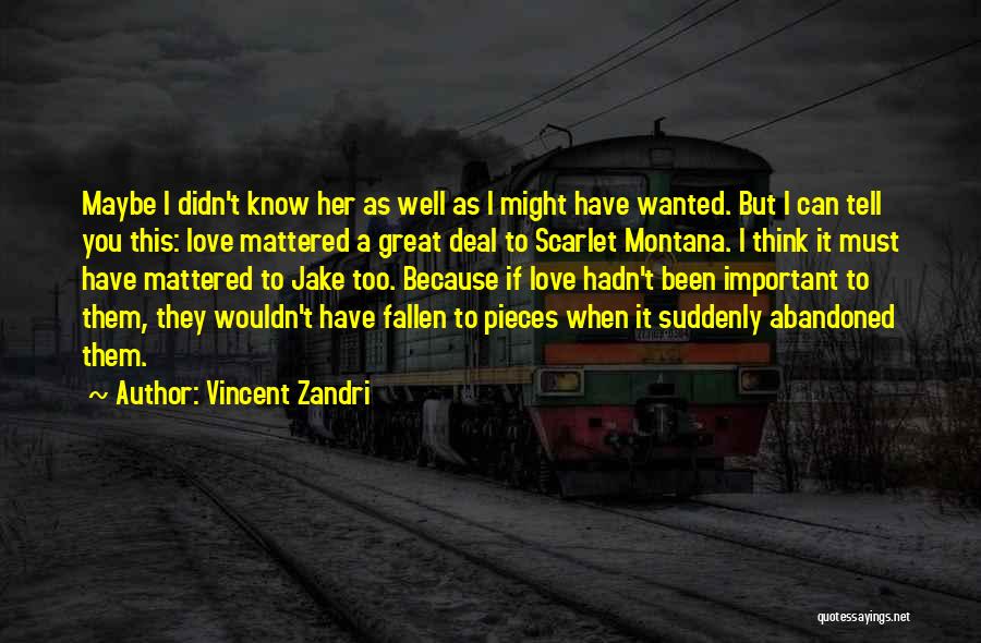 Vincent Zandri Quotes: Maybe I Didn't Know Her As Well As I Might Have Wanted. But I Can Tell You This: Love Mattered