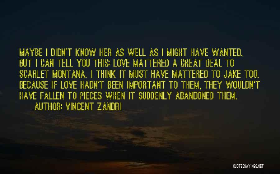 Vincent Zandri Quotes: Maybe I Didn't Know Her As Well As I Might Have Wanted. But I Can Tell You This: Love Mattered