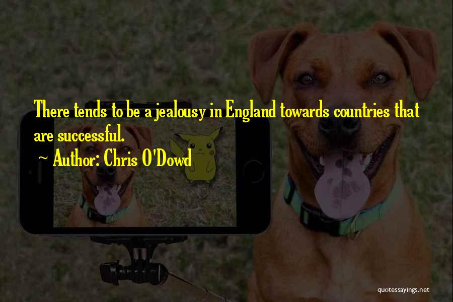 Chris O'Dowd Quotes: There Tends To Be A Jealousy In England Towards Countries That Are Successful.