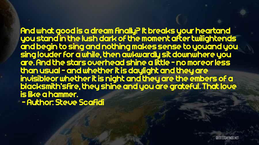 Steve Scafidi Quotes: And What Good Is A Dream Finally? It Breaks Your Heartand You Stand In The Lush Dark Of The Moment