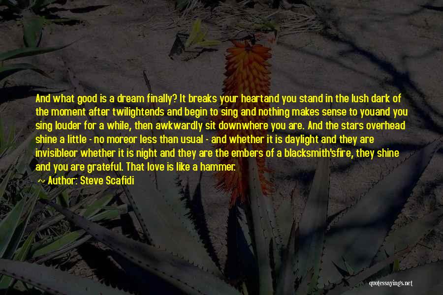 Steve Scafidi Quotes: And What Good Is A Dream Finally? It Breaks Your Heartand You Stand In The Lush Dark Of The Moment