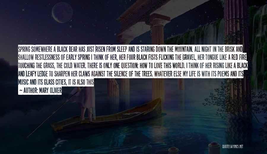 Mary Oliver Quotes: Spring Somewhere A Black Bear Has Just Risen From Sleep And Is Staring Down The Mountain. All Night In The